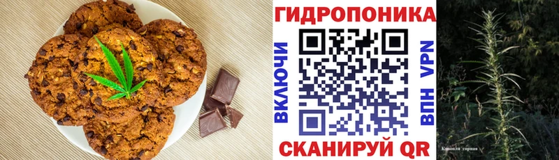 mega зеркало Андреаполь Печенье с ТГК марихуана