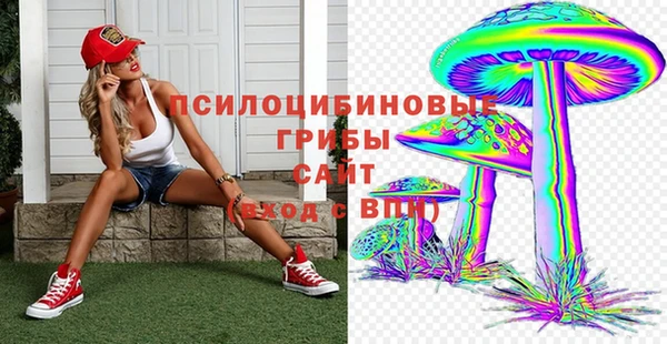 эйфоретик Алексин