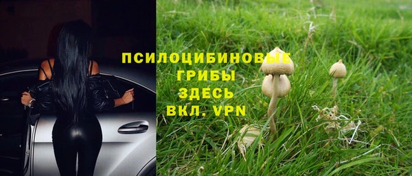 эйфоретик Алексин