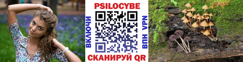 Псилоцибиновые грибы Magic Shrooms  гидра маркетплейс  Андреаполь  даркнет сайт 